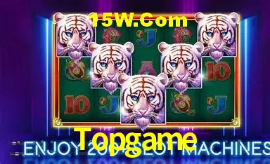 Sistemas de Segurança Topgame