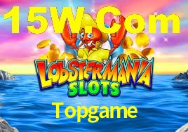 Topgame App Interface
